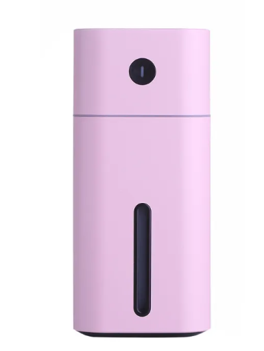 Mistly Mini Skin Humidifier